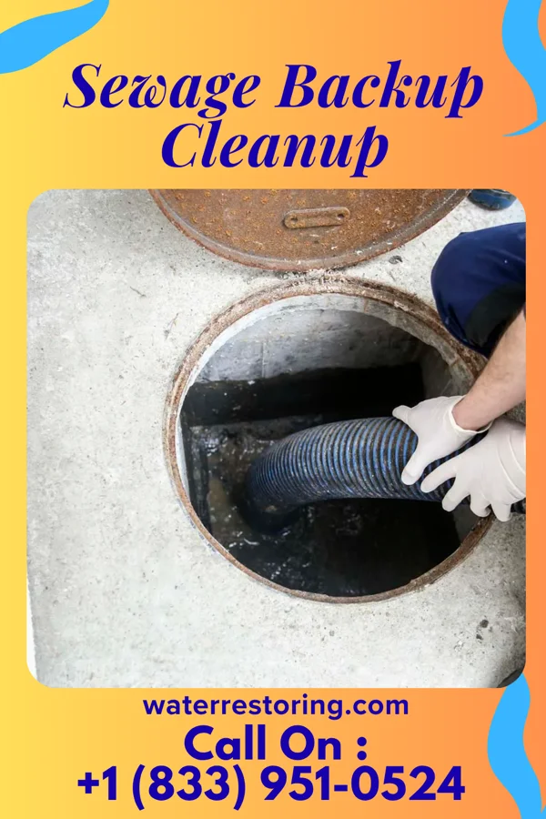 Sewage Backup Cleanup in Commerce City, CO